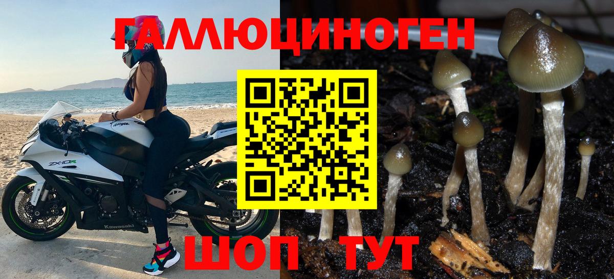 Галлюциногенные грибы ЛСД  цена наркотик  Вход с VPN  Бугуруслан  Галлюциногенные грибы MAGIC MUSHROOMS 